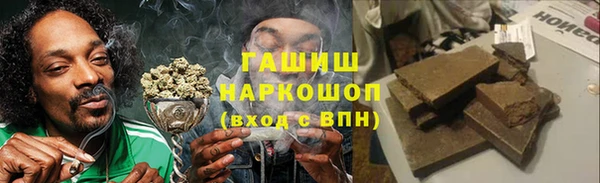 гидра Алексеевка