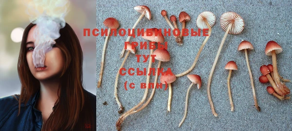 сатива Алексин