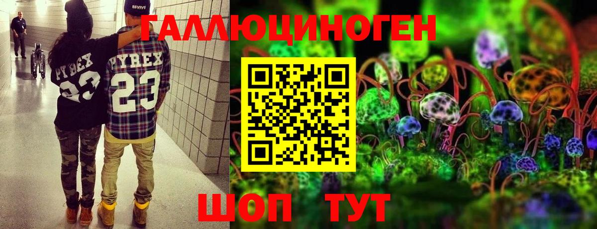 Кольчугино  Галлюциногенные грибы MAGIC MUSHROOMS  Вход с VPN  Галлюциногенные грибы мицелий 