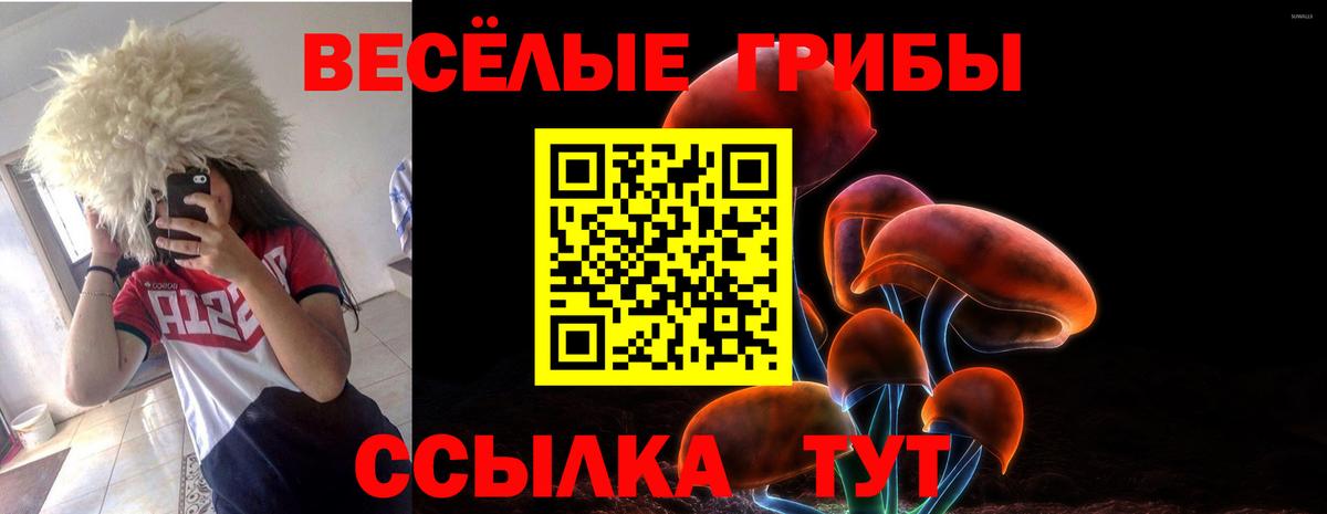 Галлюциногенные грибы MAGIC MUSHROOMS Кольчугино